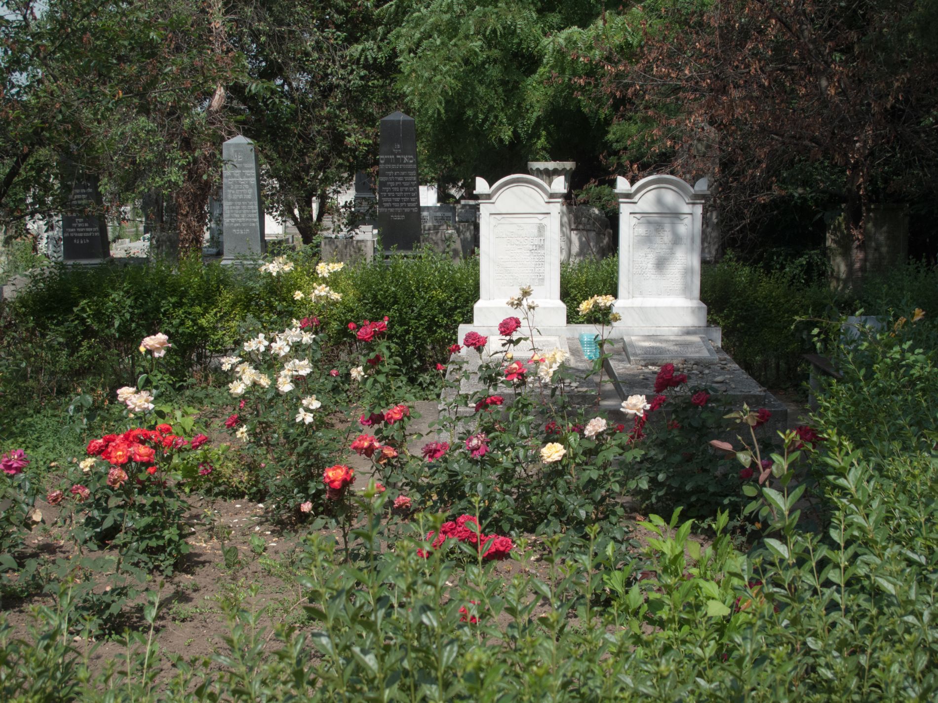 Cimitirul Evreilor din Timişoara