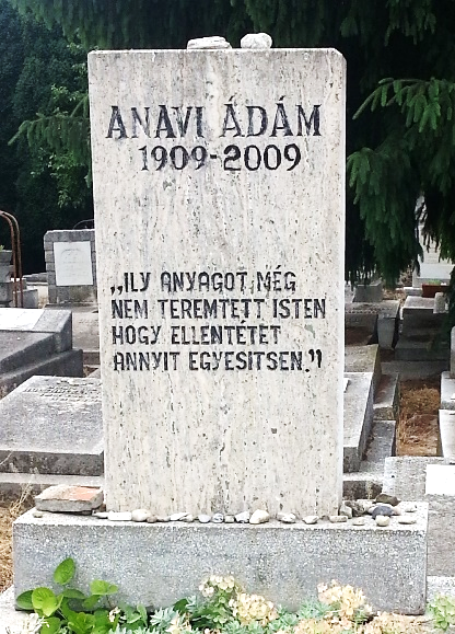Poezii de Anavi Ádám